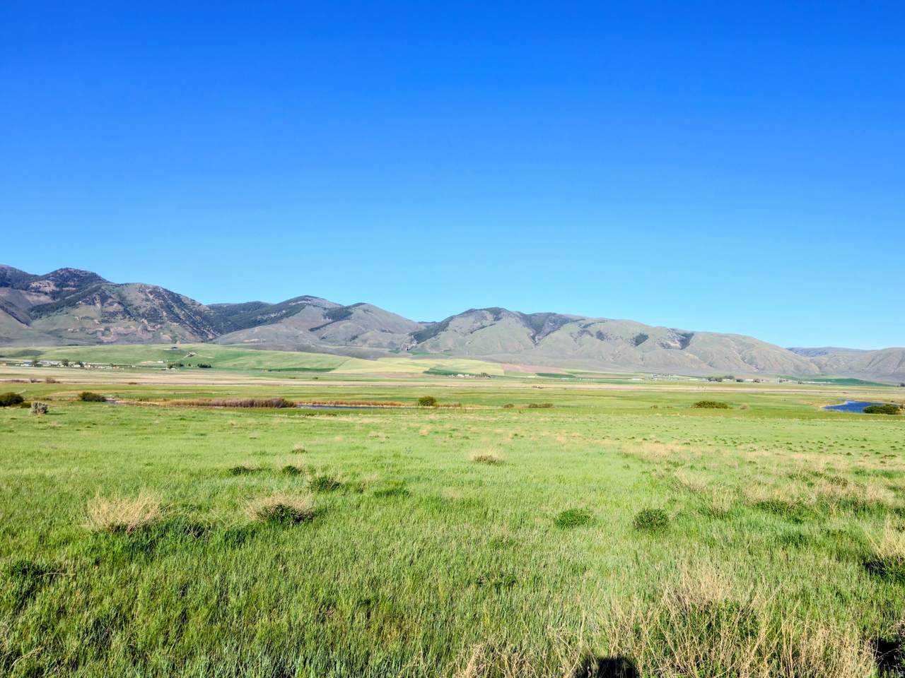 https://bt-photos.global.ssl.fastly.net/wasatch/1280_boomver_2_2140896-1.jpg