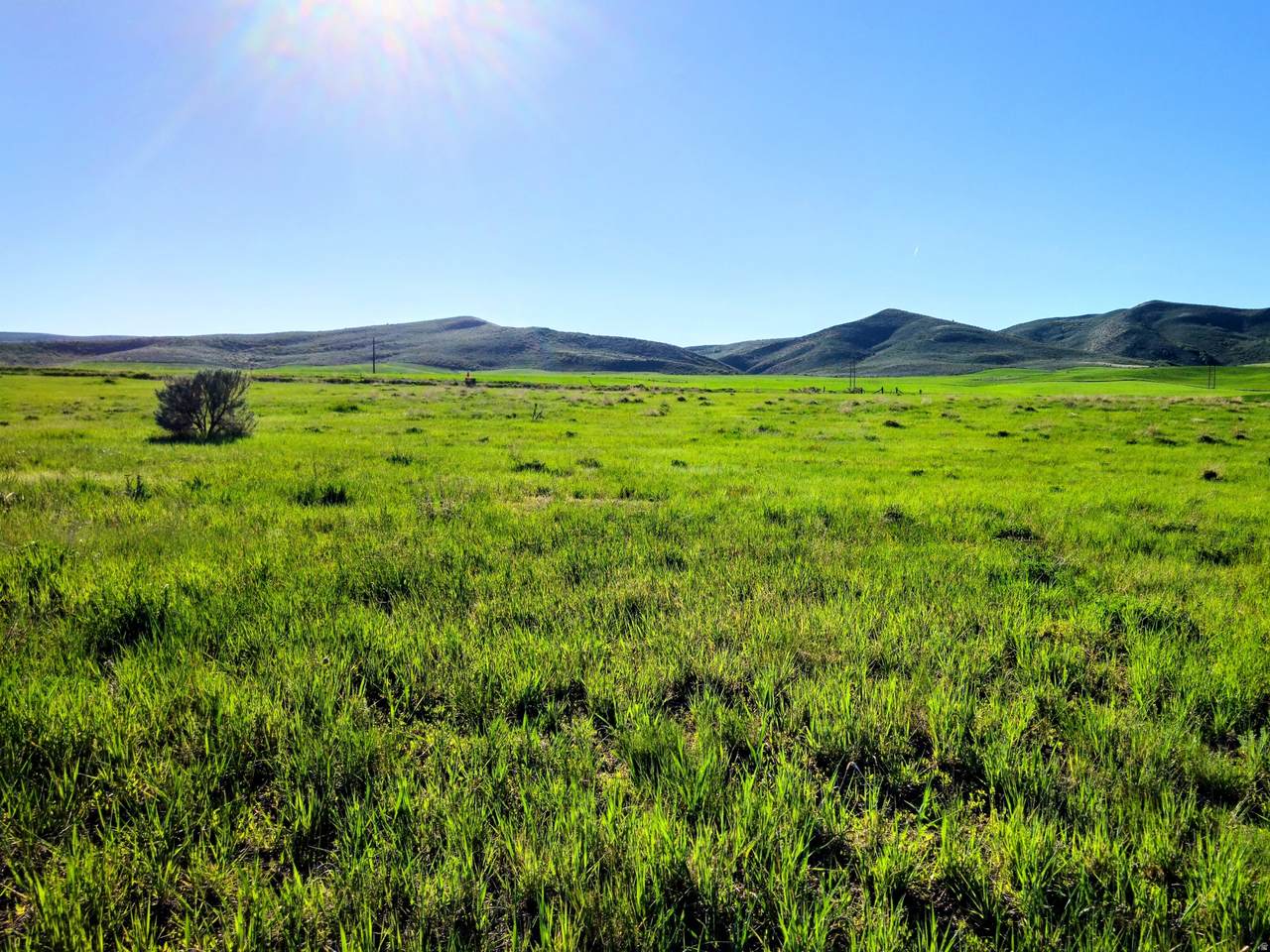 https://bt-photos.global.ssl.fastly.net/wasatch/1280_boomver_2_2140896-1.jpg