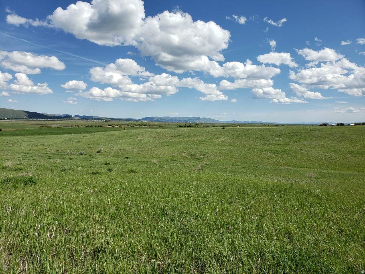 https://bt-photos.global.ssl.fastly.net/wasatch/1280_boomver_2_2140899-1.jpg