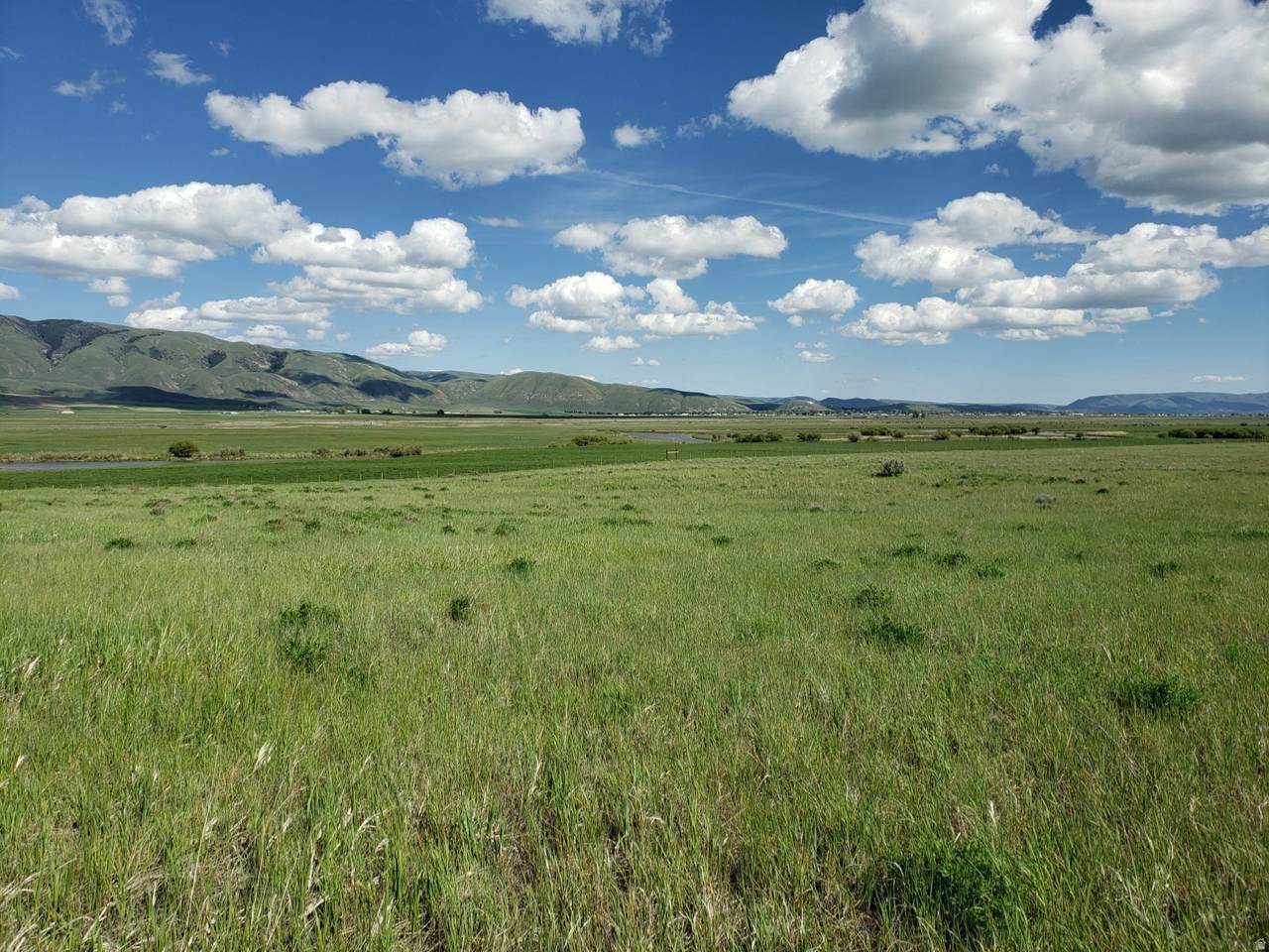 https://bt-photos.global.ssl.fastly.net/wasatch/1280_boomver_2_2140902-1.jpg