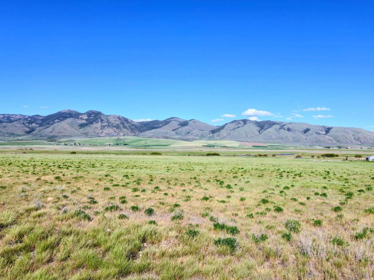 https://bt-photos.global.ssl.fastly.net/wasatch/1280_boomver_2_2140911-1.jpg