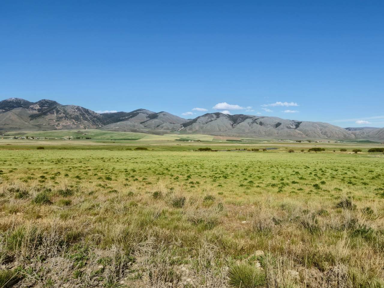 https://bt-photos.global.ssl.fastly.net/wasatch/1280_boomver_2_2140911-1.jpg