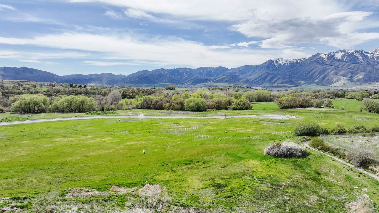 https://bt-photos.global.ssl.fastly.net/wasatch/1280_boomver_2_2141366-1.jpg