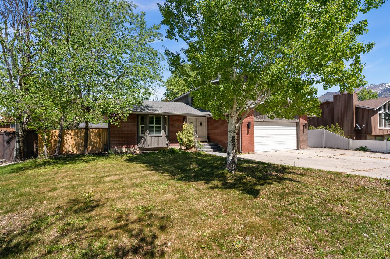 2163 Borg Dr - Photo 1