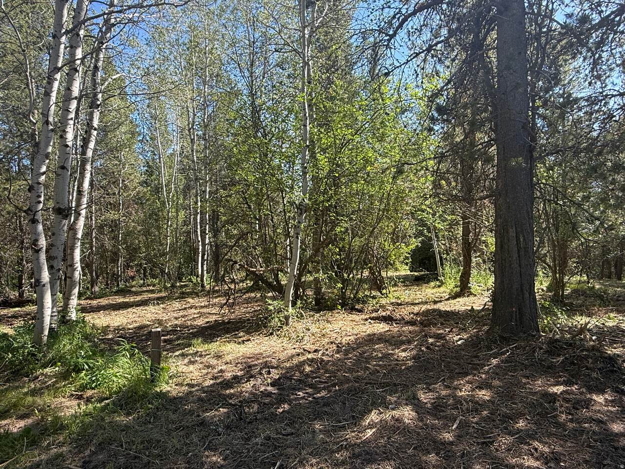 4376 Granite Rdg - Photo 1