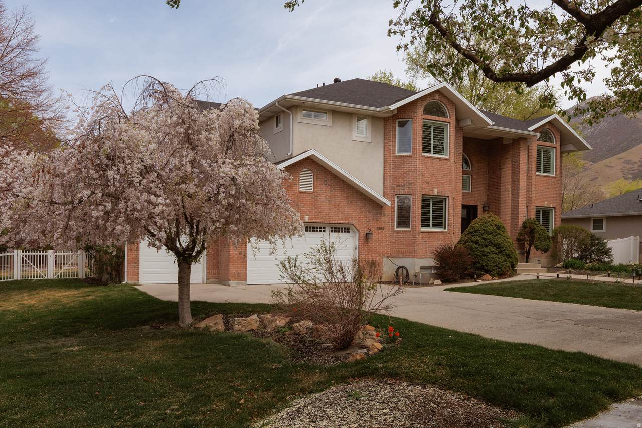 1209 Bear Hollow Cv - Photo 1
