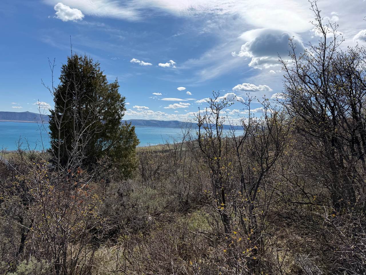 248 Hickock Dr - Photo 1