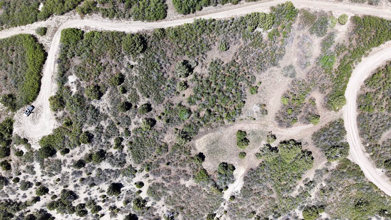 22043 14333 - Photo 1