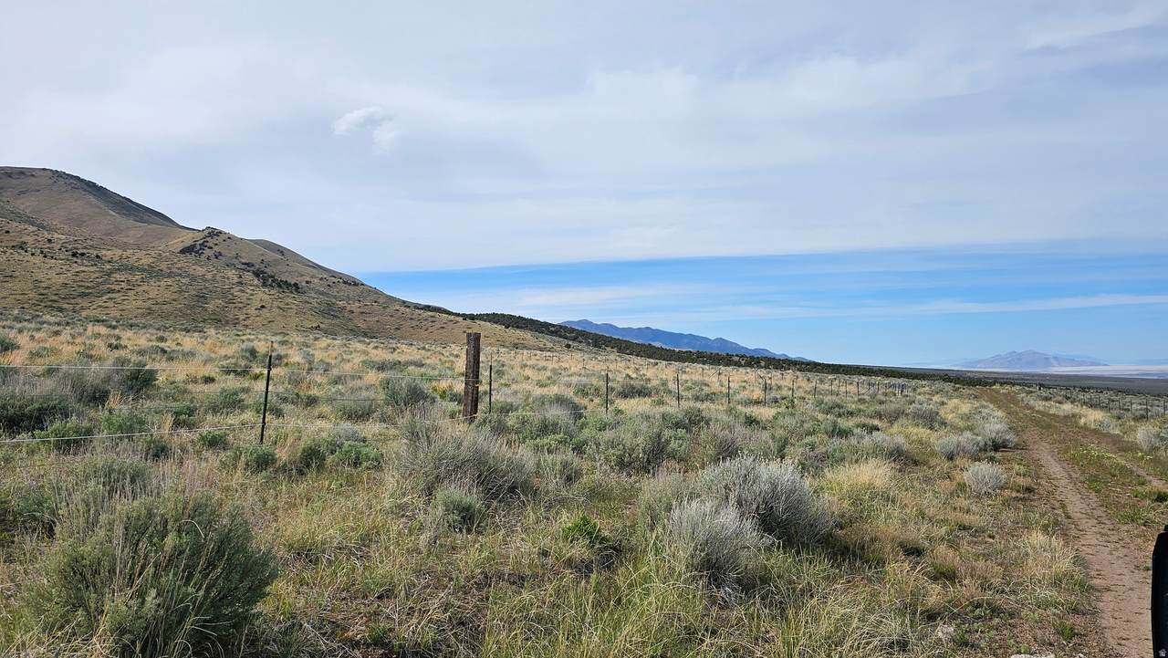 25 Stansbury Agricultural Propert - Photo 1