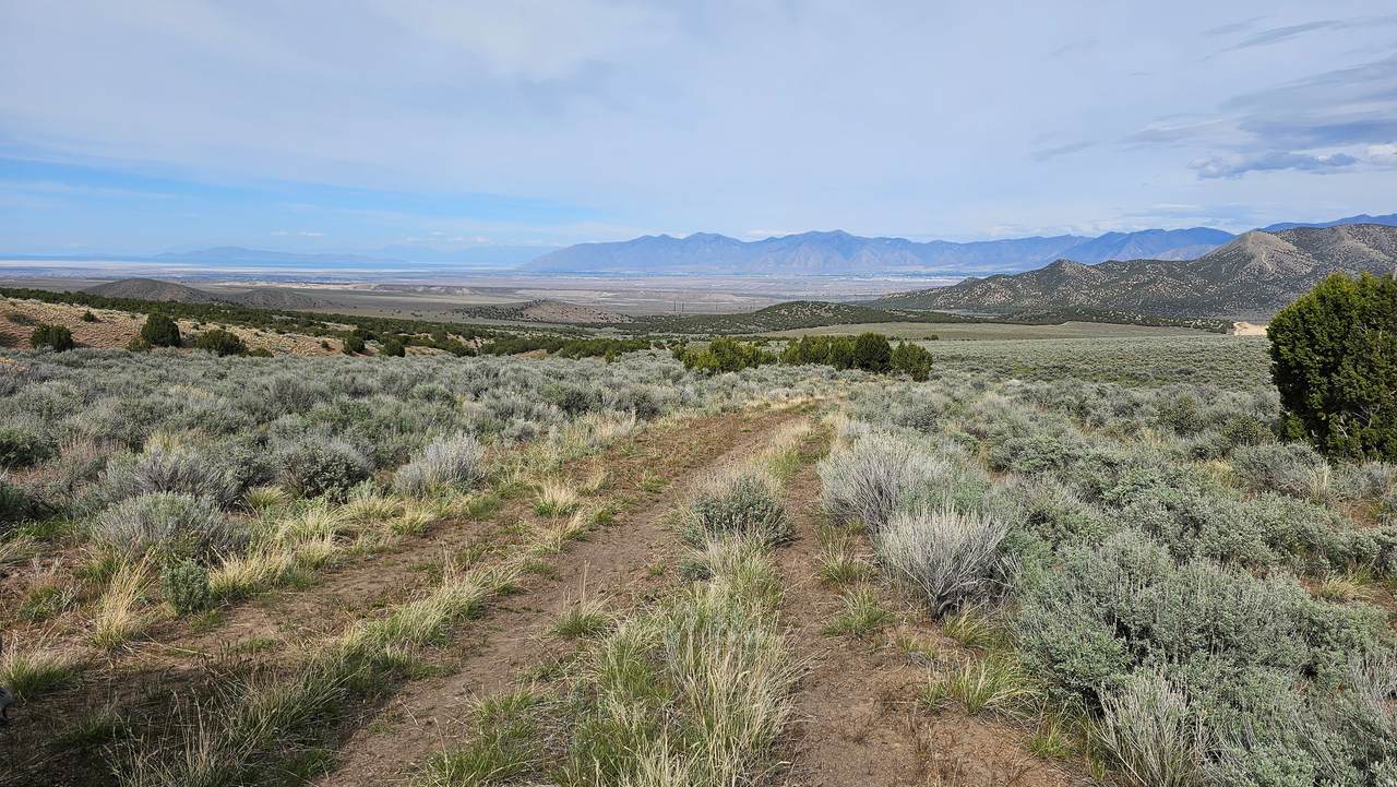 https://bt-photos.global.ssl.fastly.net/wasatch/1280_boomver_2_2149923-1.jpg