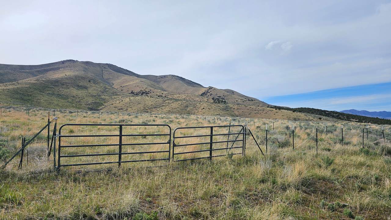 https://bt-photos.global.ssl.fastly.net/wasatch/1280_boomver_2_2149923-1.jpg
