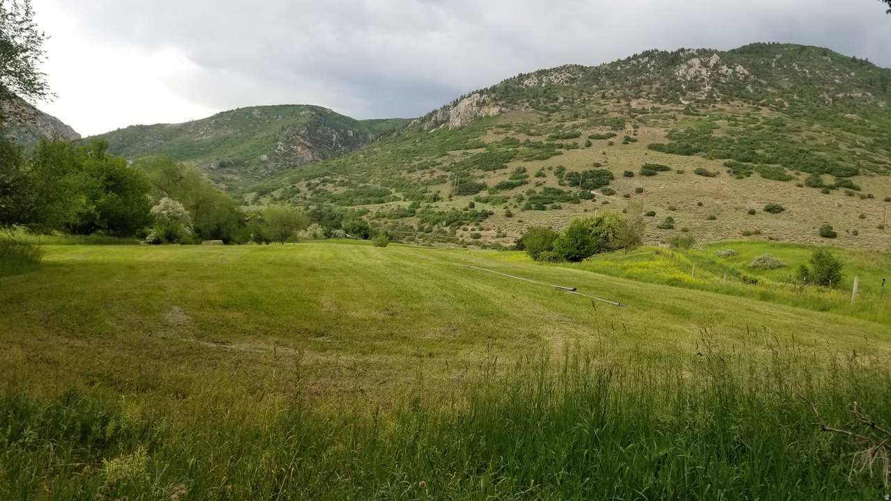 https://bt-photos.global.ssl.fastly.net/wasatch/1280_boomver_2_2151135-1.jpg