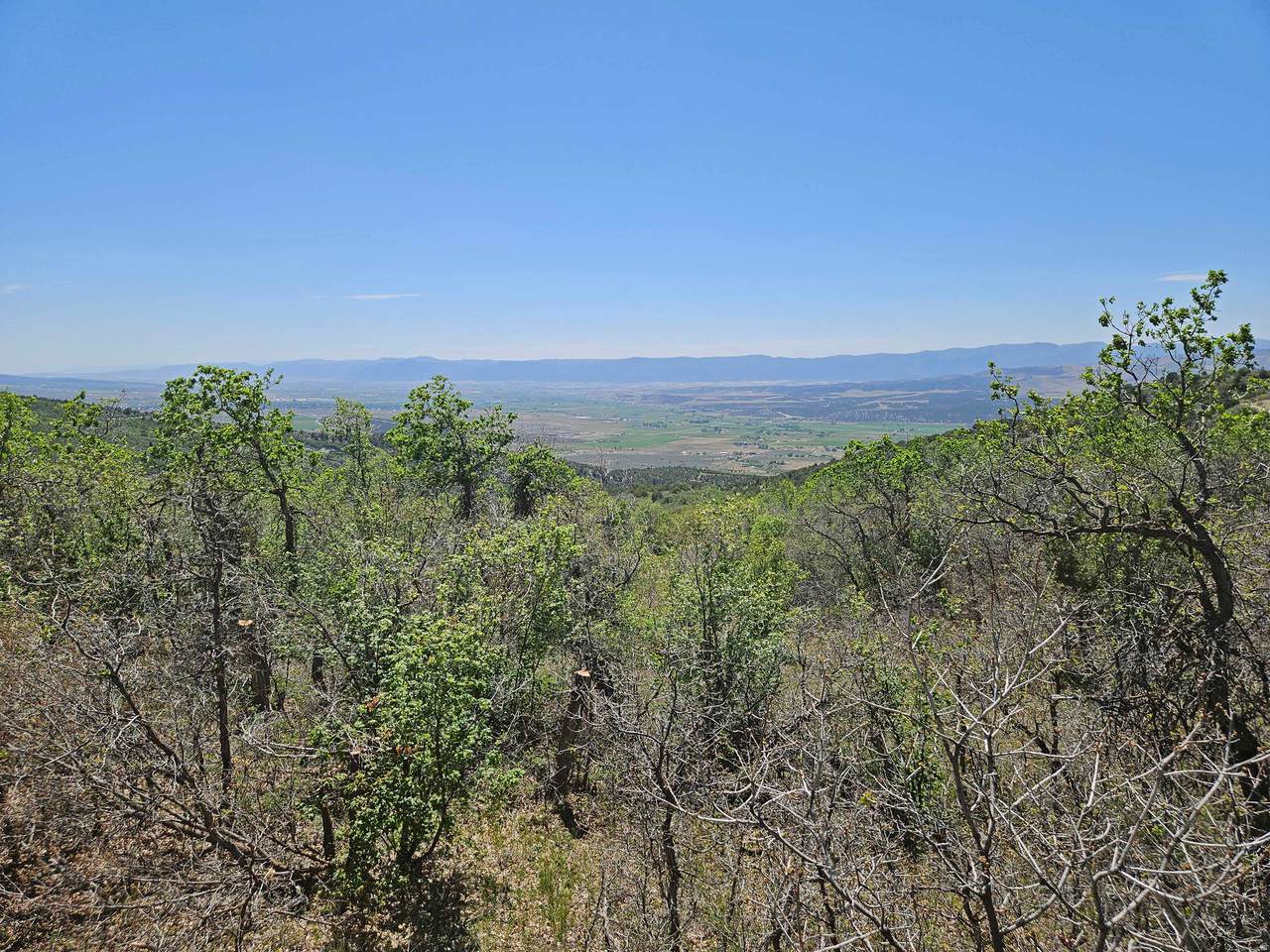 https://bt-photos.global.ssl.fastly.net/wasatch/1280_boomver_2_2151672-1.jpg