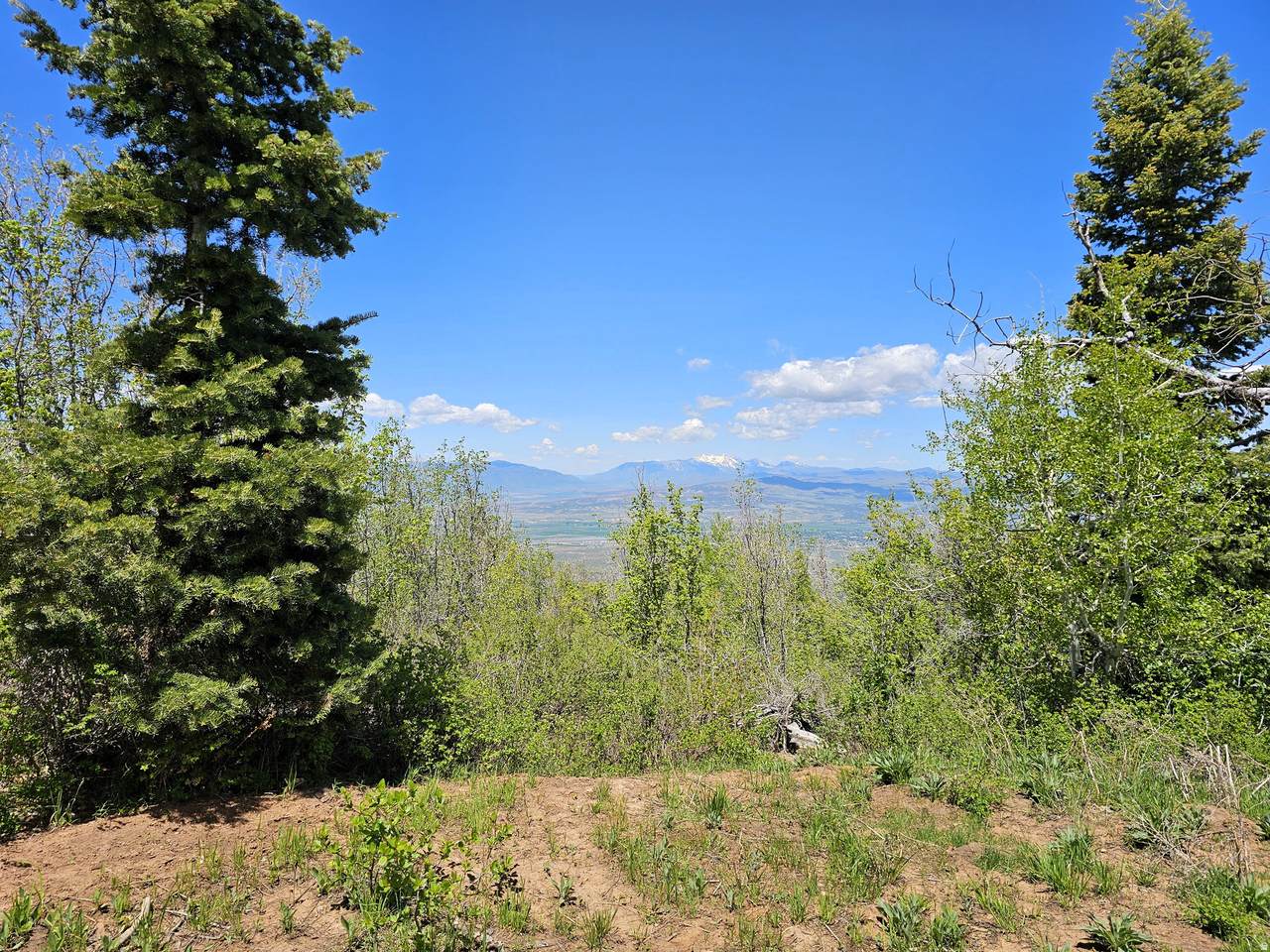 https://bt-photos.global.ssl.fastly.net/wasatch/1280_boomver_2_2151971-1.jpg