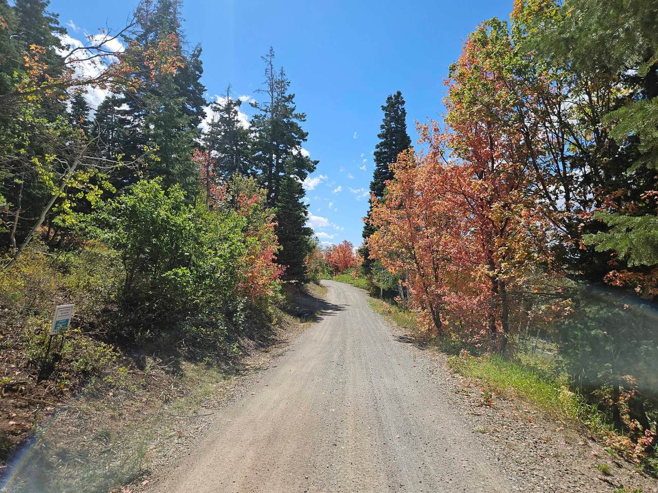 1246 North Fork Rd - Photo 1