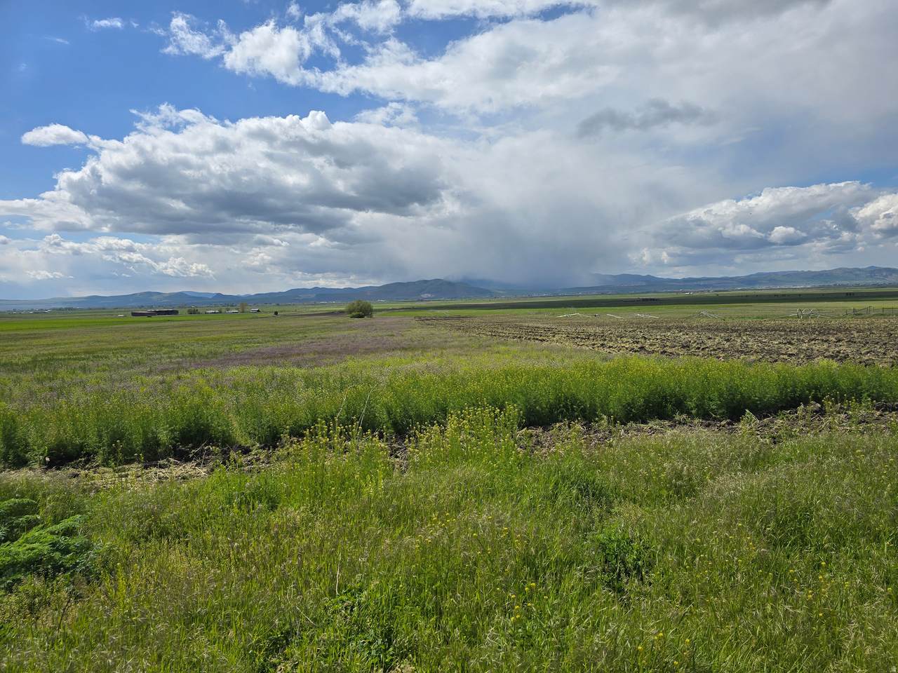 https://bt-photos.global.ssl.fastly.net/wasatch/1280_boomver_2_2153893-1.jpg