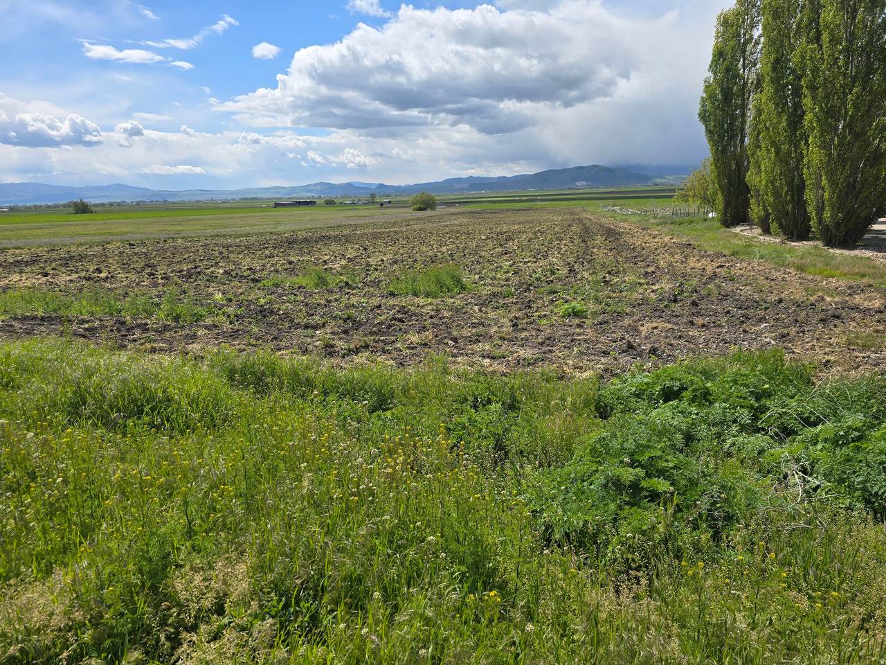 https://bt-photos.global.ssl.fastly.net/wasatch/1280_boomver_2_2153893-1.jpg