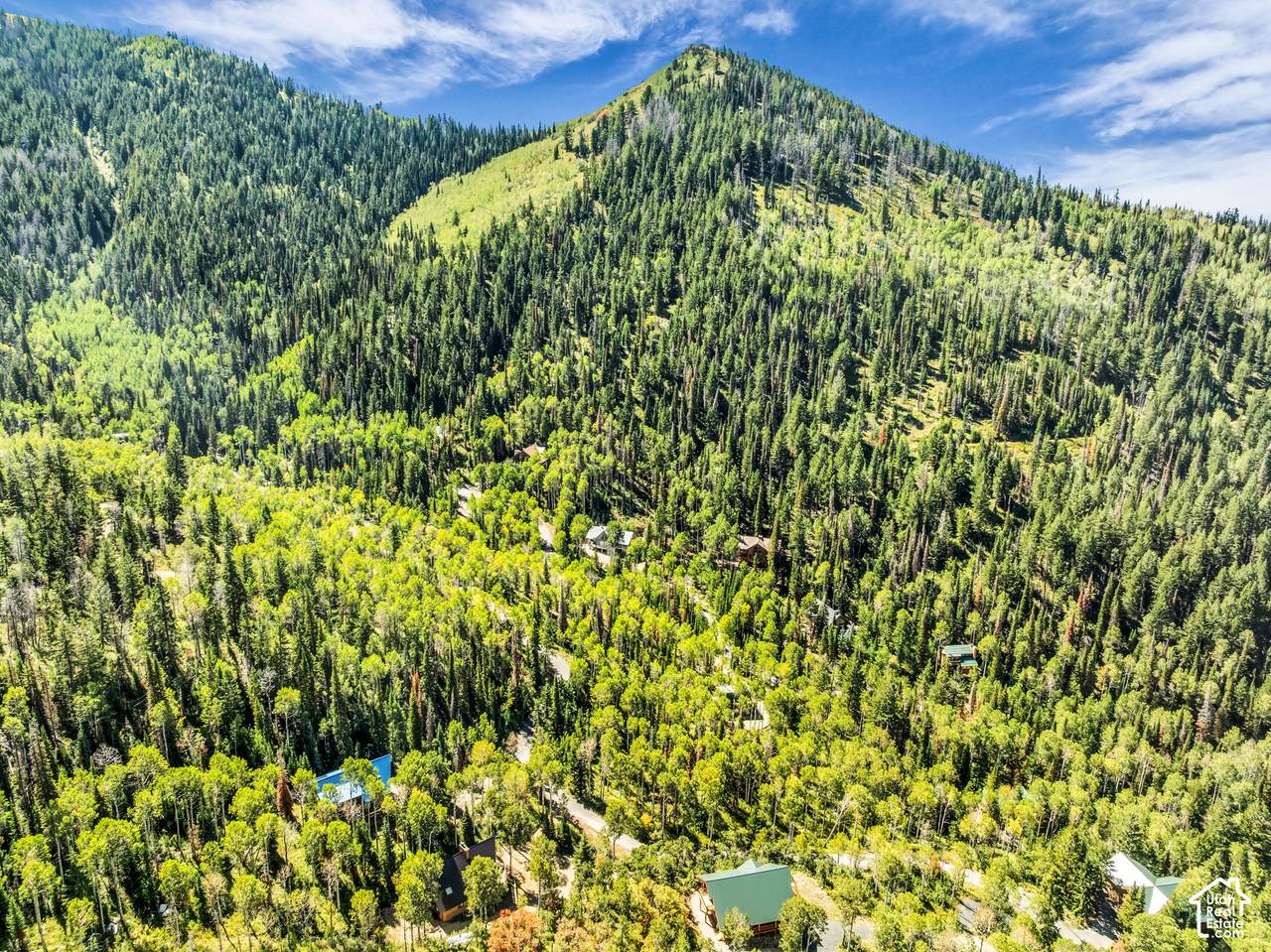 8550 Uinta Dr - Photo 1