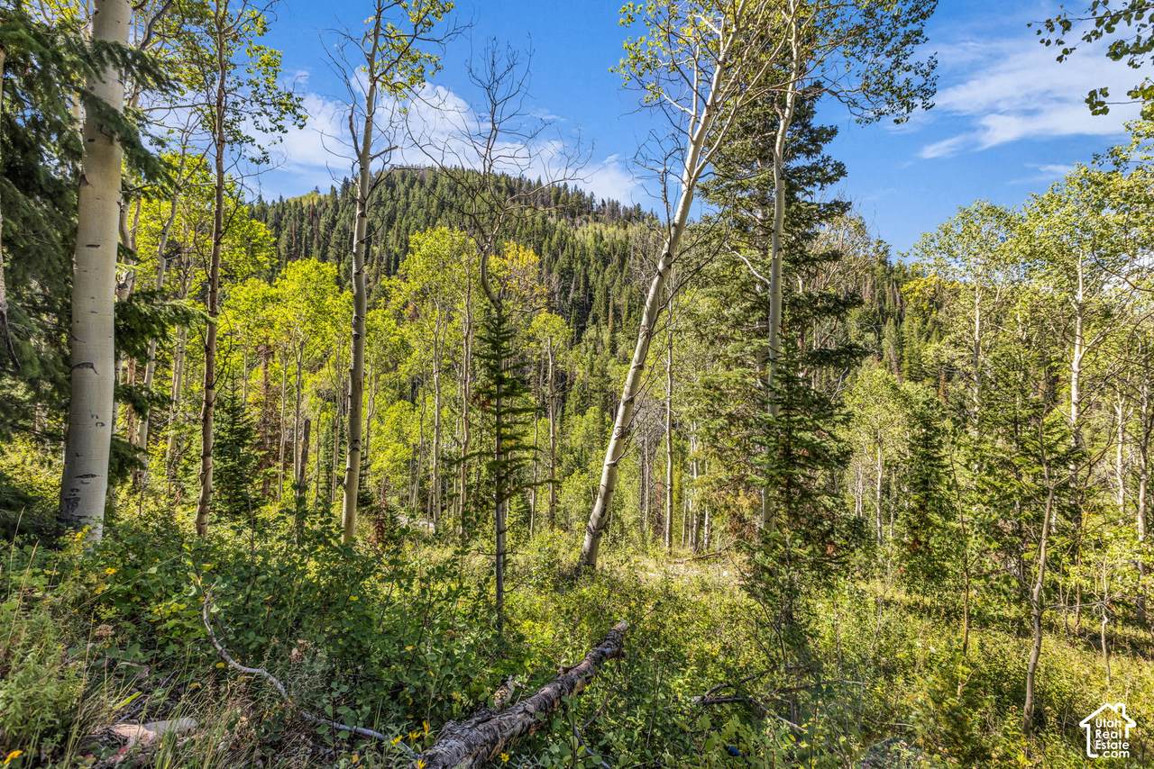 https://bt-photos.global.ssl.fastly.net/wasatch/1280_boomver_2_2154723-1.jpg