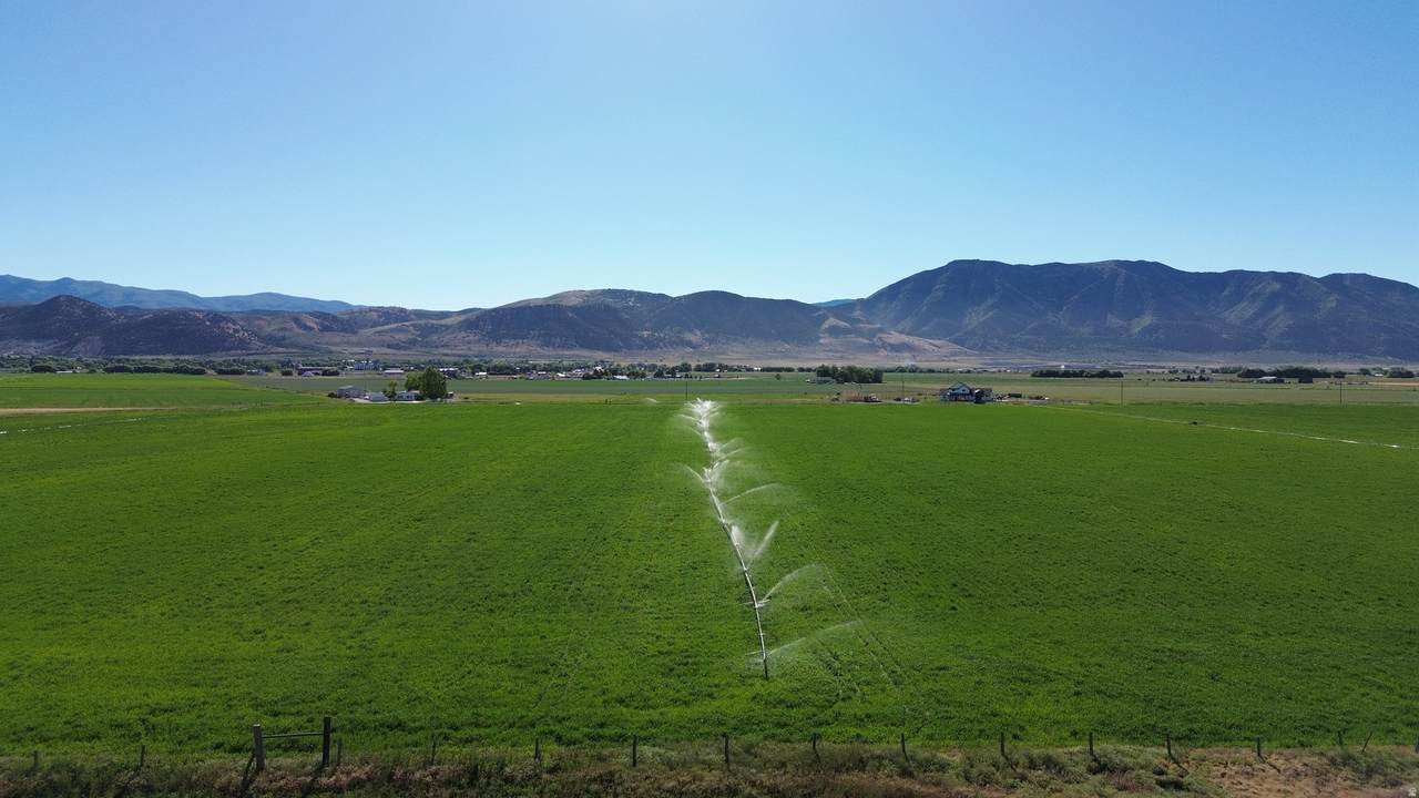 https://bt-photos.global.ssl.fastly.net/wasatch/1280_boomver_2_2155015-1.jpg