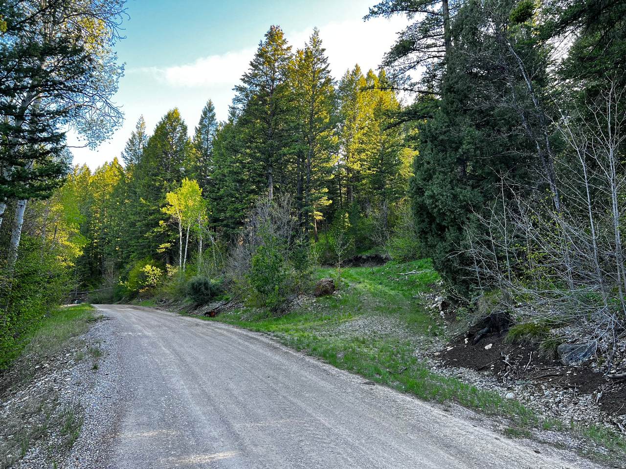 https://bt-photos.global.ssl.fastly.net/wasatch/1280_boomver_2_2155998-1.jpg