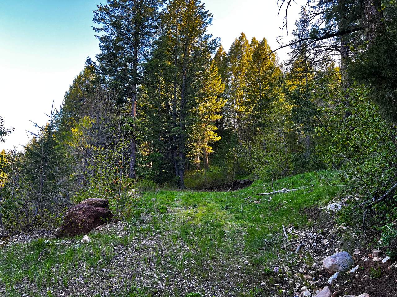 https://bt-photos.global.ssl.fastly.net/wasatch/1280_boomver_2_2155998-1.jpg