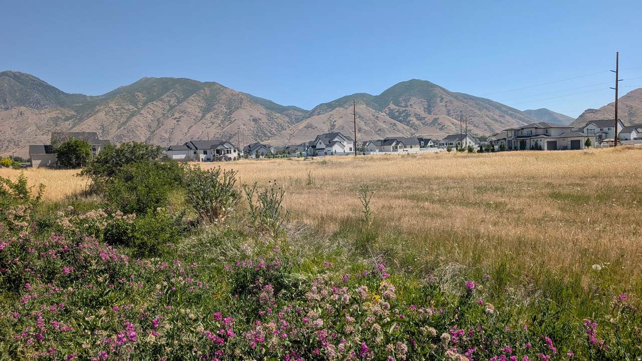 https://bt-photos.global.ssl.fastly.net/wasatch/1280_boomver_2_2157624-1.jpg