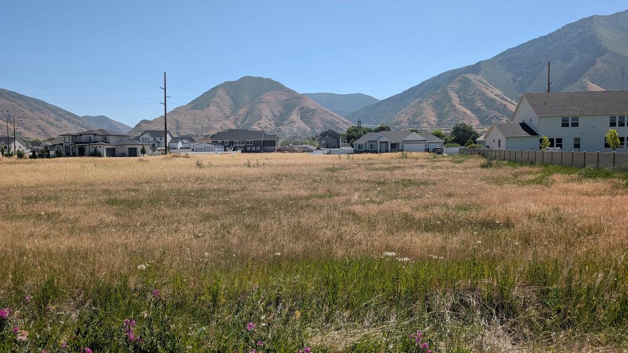 https://bt-photos.global.ssl.fastly.net/wasatch/1280_boomver_2_2157624-1.jpg