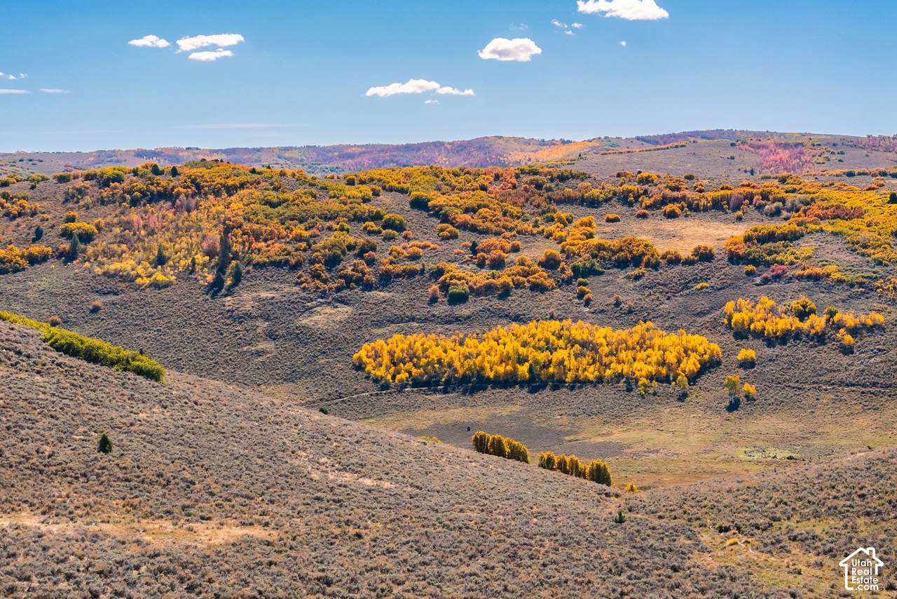 https://bt-photos.global.ssl.fastly.net/wasatch/1280_boomver_2_2159066-1.jpg