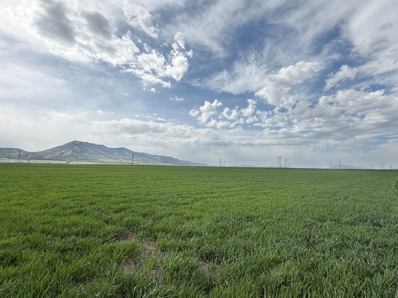 https://bt-photos.global.ssl.fastly.net/wasatch/1280_boomver_2_2161350-1.jpg