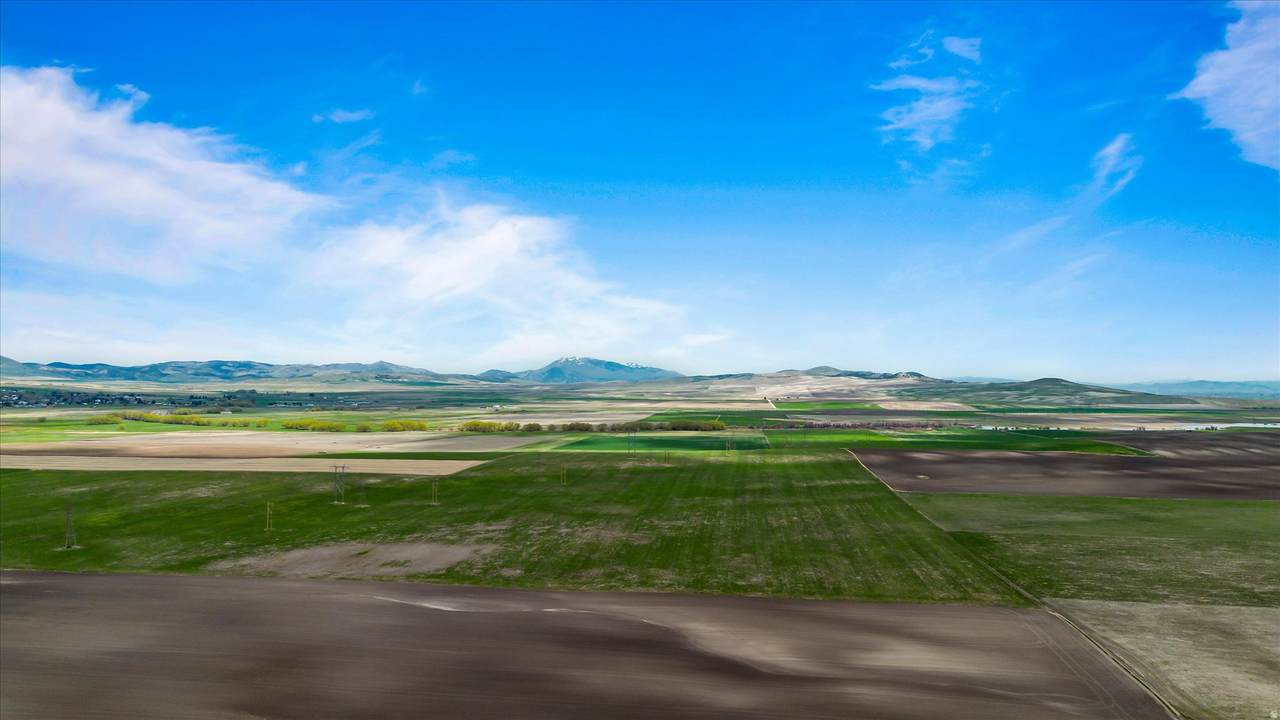 https://bt-photos.global.ssl.fastly.net/wasatch/1280_boomver_2_2161350-1.jpg