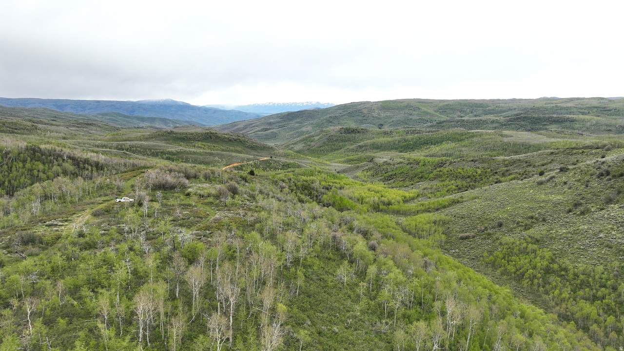 999 Hwy 39 - Photo 1