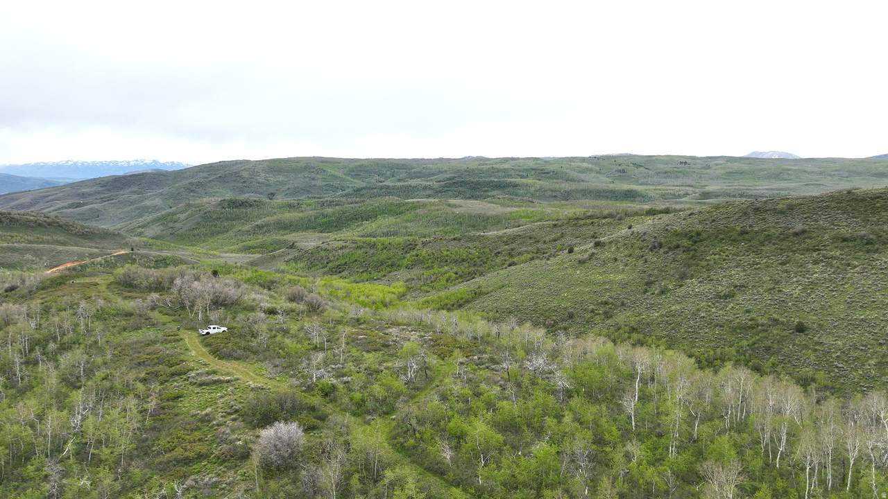 https://bt-photos.global.ssl.fastly.net/wasatch/1280_boomver_2_2161853-1.jpg
