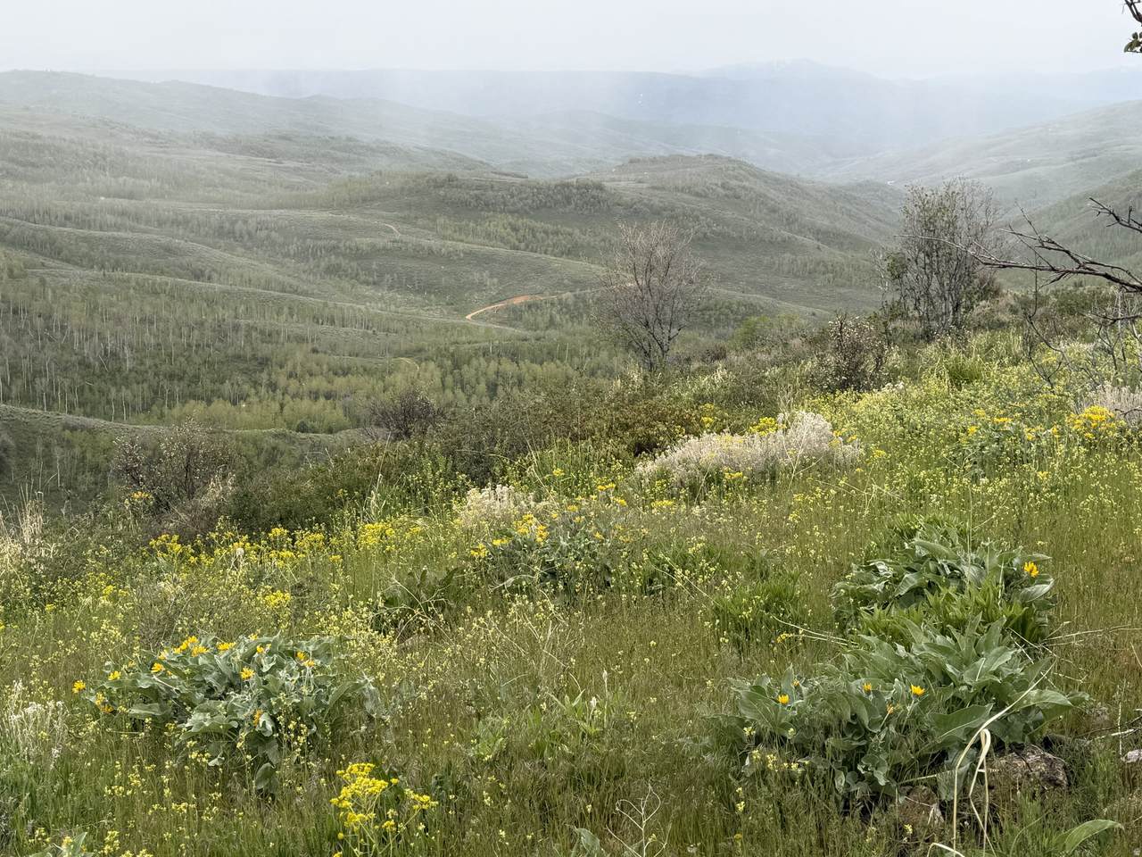 https://bt-photos.global.ssl.fastly.net/wasatch/1280_boomver_2_2161853-1.jpg