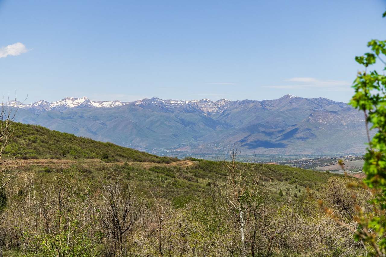 https://bt-photos.global.ssl.fastly.net/wasatch/1280_boomver_2_2162603-1.jpg