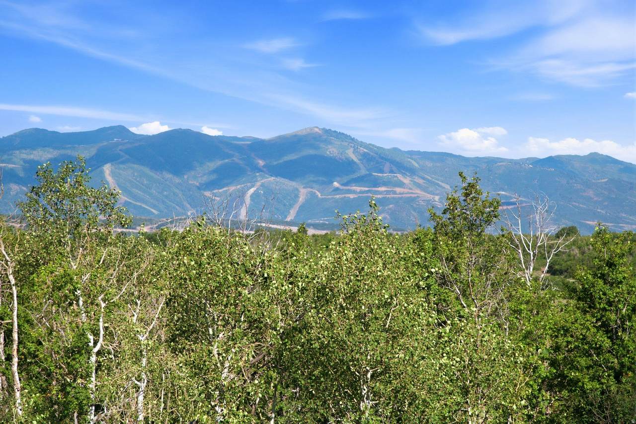 https://bt-photos.global.ssl.fastly.net/wasatch/1280_boomver_2_2163352-1.jpg