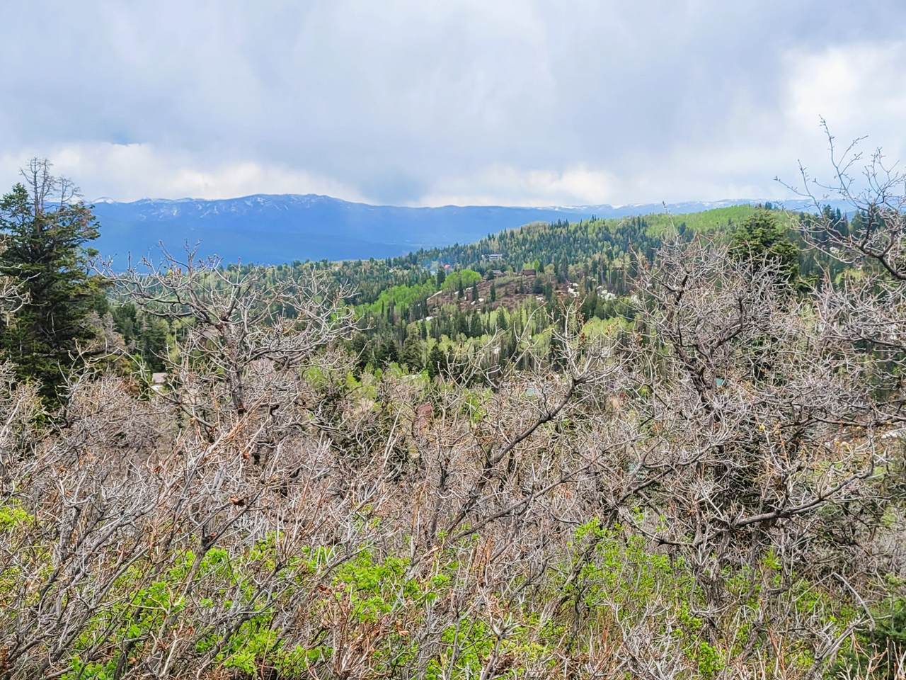 https://bt-photos.global.ssl.fastly.net/wasatch/1280_boomver_2_2164188-1.jpg