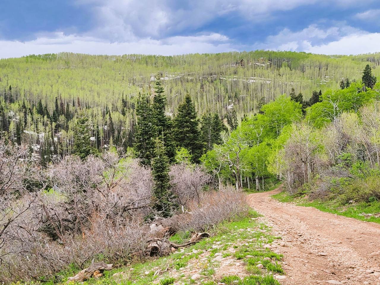 https://bt-photos.global.ssl.fastly.net/wasatch/1280_boomver_2_2164188-1.jpg