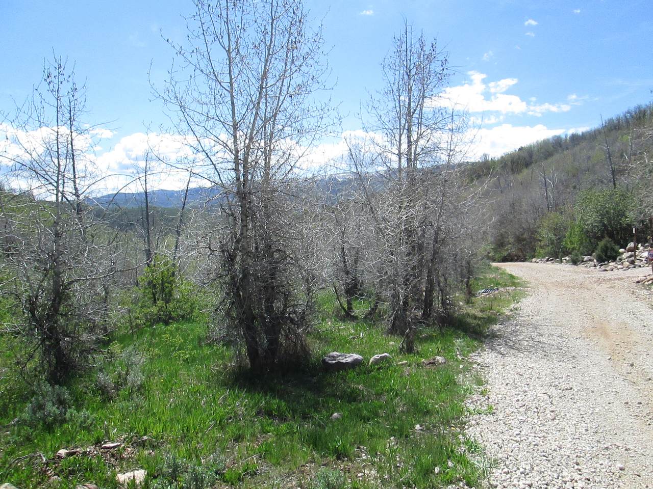 3258 Water Canyon Ave - Photo 1
