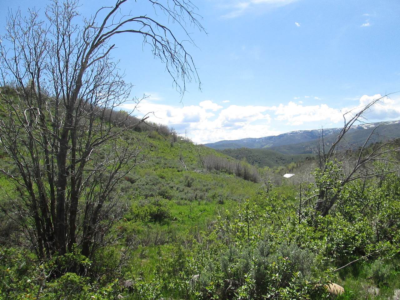 https://bt-photos.global.ssl.fastly.net/wasatch/1280_boomver_2_2165472-1.jpg