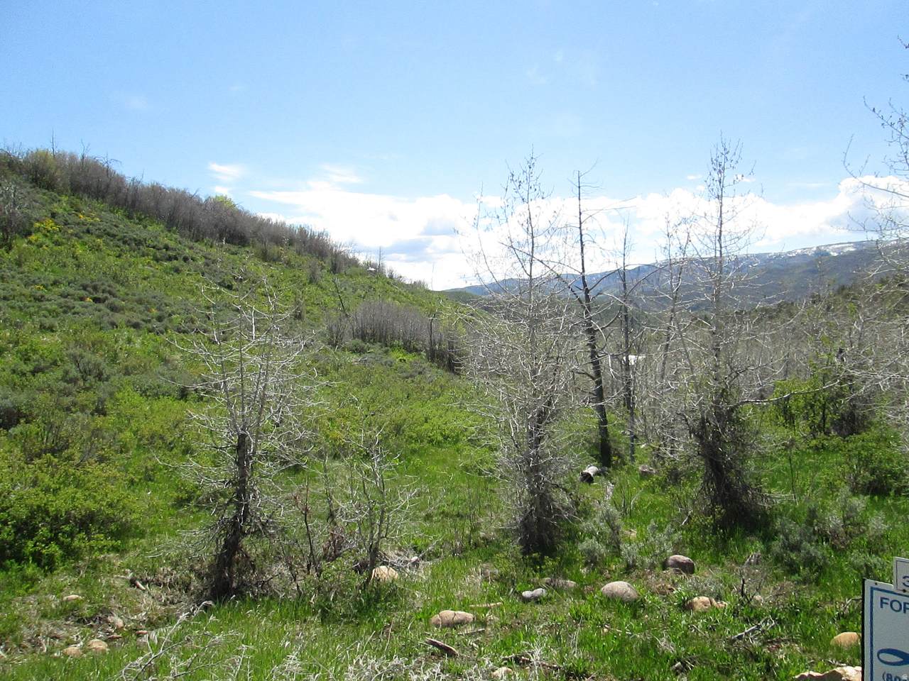 https://bt-photos.global.ssl.fastly.net/wasatch/1280_boomver_2_2165472-1.jpg