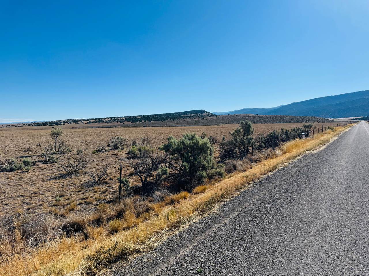 https://bt-photos.global.ssl.fastly.net/wasatch/1280_boomver_2_2167243-1.jpg