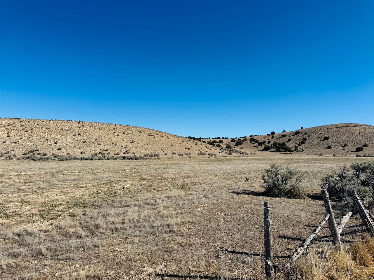https://bt-photos.global.ssl.fastly.net/wasatch/1280_boomver_2_2167243-1.jpg