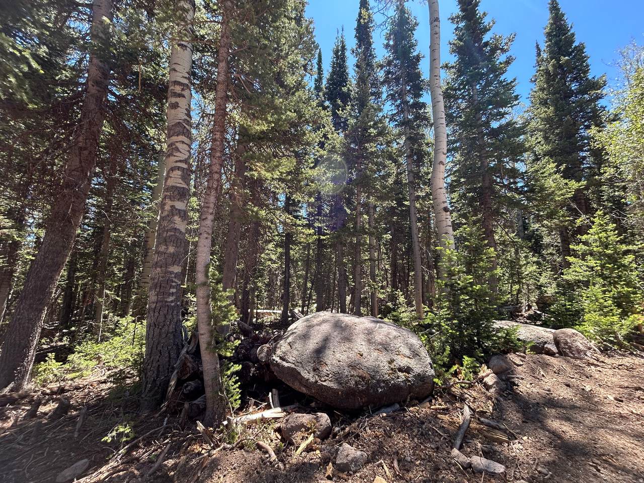 https://bt-photos.global.ssl.fastly.net/wasatch/1280_boomver_2_2168291-1.jpg