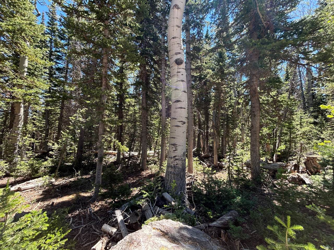 https://bt-photos.global.ssl.fastly.net/wasatch/1280_boomver_2_2168291-1.jpg