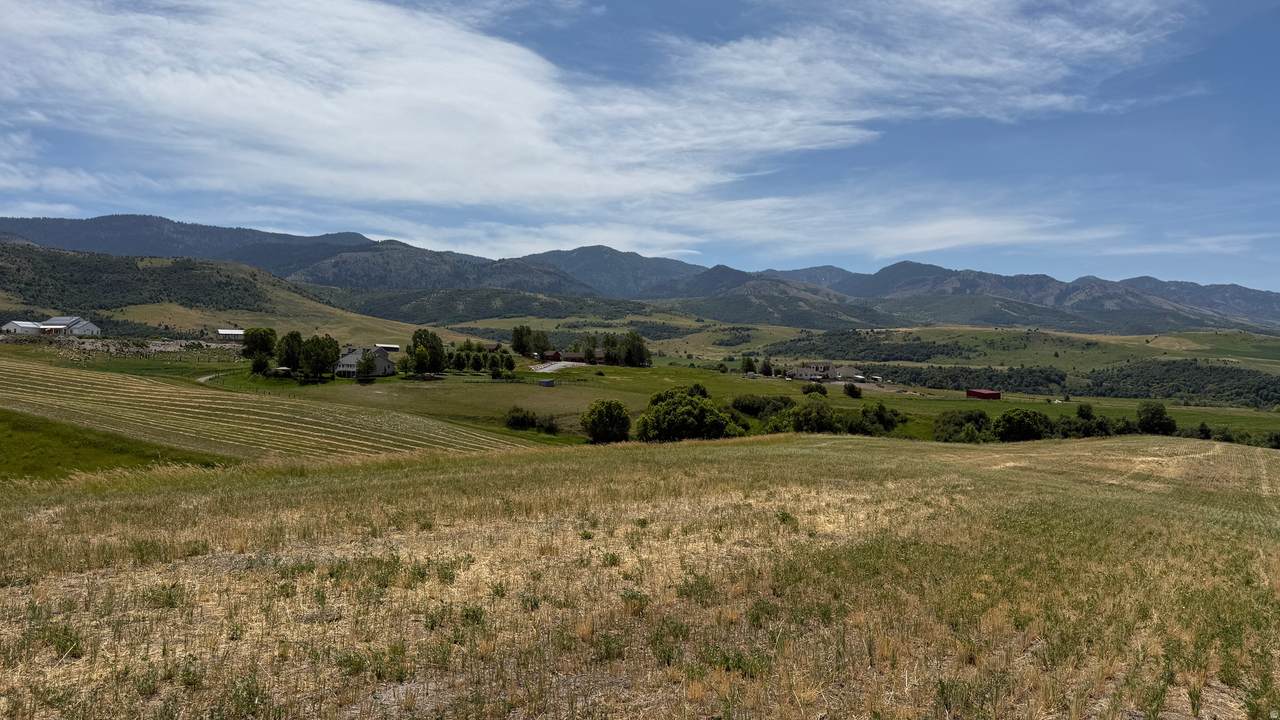 https://bt-photos.global.ssl.fastly.net/wasatch/1280_boomver_2_2168422-1.jpg