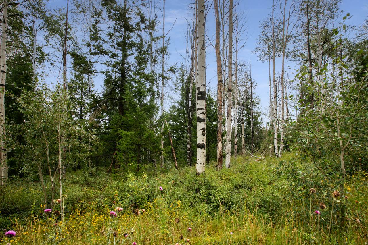 https://bt-photos.global.ssl.fastly.net/wasatch/1280_boomver_2_2168746-1.jpg