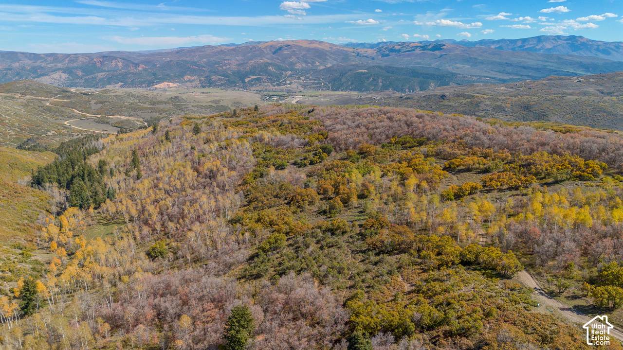 144 Bear Tooth Rdg - Photo 1
