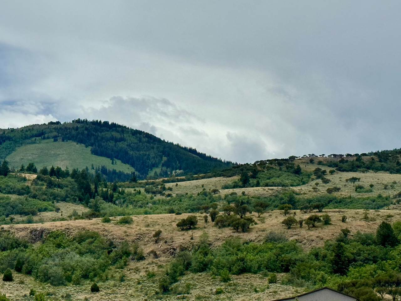 https://bt-photos.global.ssl.fastly.net/wasatch/1280_boomver_1_2171409-1.jpg