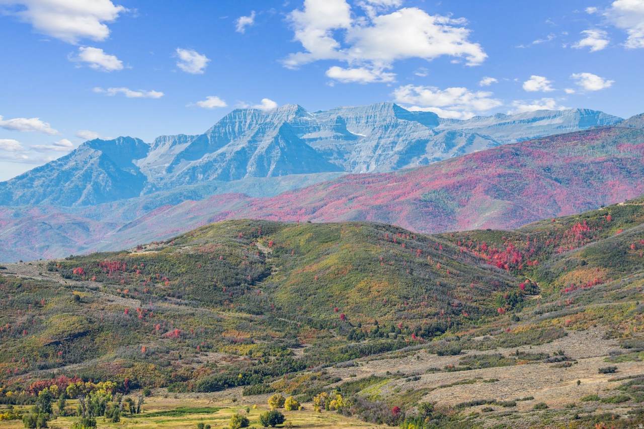 https://bt-photos.global.ssl.fastly.net/wasatch/1280_boomver_2_2172744-1.jpg
